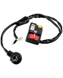 1PC Combination L/H Switch Kill Light Hi Low Starter Switch compatible for Honda TRX250R